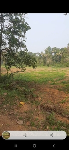 Plot of land Perumbavoor For Sale India