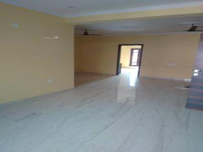 1260 sq ft 2 BHK 2T Apartment for rent in Project at Sector 23 Gurgaon, Gurgaon by Agent Gurgaon properties