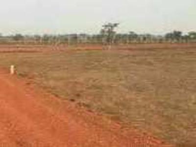 Agricultural Land 20 Acre for Sale in Hingna, Nagpur