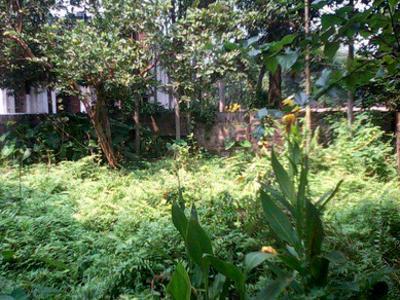 Residential Land For SALE 5 mins from Chandannagar