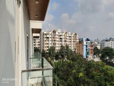 1 BHK Flat for rent in Harlur, Bangalore - 542 Sqft