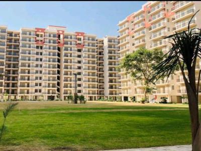 396 sq ft 1 BHK 1T Apartment for rent in Lotus Homz at Sector 111, Gurgaon by Agent user3990