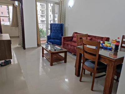 2 BHK Flat for rent in Sector 137, Noida - 1050 Sqft
