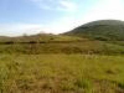 75 acres plain land at Wayanad For Sale India