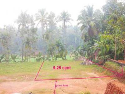 Plot for sale at pukkattupady. For Sale India