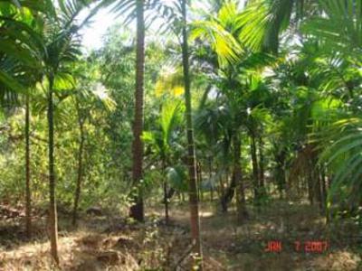 Plot for sale For Sale India