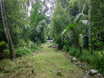 Plot of land thrissur,kerala For Sale India