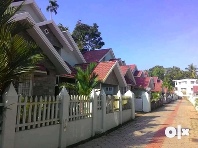 2850 villa for sale at Kandanad Thrippunithura