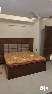 One bedroom attached bath kitchen furnished sector 12,12a panchkula