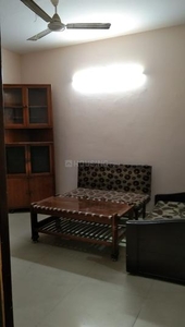 1 BHK Flat for rent in Noida Extension, Greater Noida - 598 Sqft