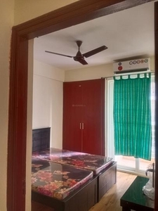 1 BHK Flat for rent in Sector 168, Noida - 500 Sqft