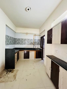 3 BHK Flat for rent in New Ranip, Ahmedabad - 1755 Sqft