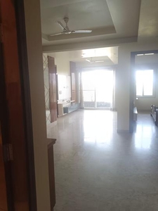 3 BHK Independent Floor for rent in Sector 46, Noida - 3000 Sqft