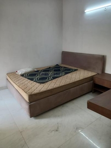 9 BHK Independent House for rent in Sector 51, Noida - 3200 Sqft