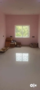 2/ 3 bhk apartment for rent near City centre