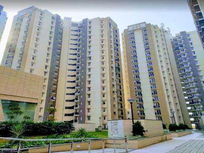 Pigeon Buildhome Spring Meadows in Techzone 4, Greater Noida