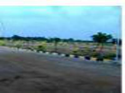 Residential Land For SALE 5 mins from Jodhpur