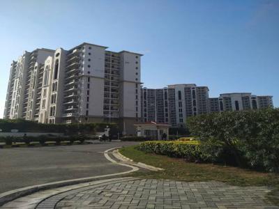 2350 sq ft 4 BHK 4T Apartment for sale at Rs 1.25 crore in DLF New Town Heights 1 in Sector 90, Gurgaon