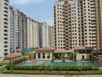 1180 sq ft 2 BHK 2T Apartment for sale at Rs 78.00 lacs in Amrapali Silicon City in Sector 76, Noida