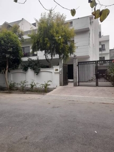 3600 sq ft 4 BHK 3T East facing Completed property IndependentHouse for sale at Rs 3.90 crore in Project in Sector 41, Noida