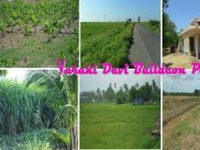 Agricultural Land for Sale For Sale India