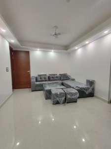 1 BHK Flat for rent in Saket, New Delhi - 680 Sqft