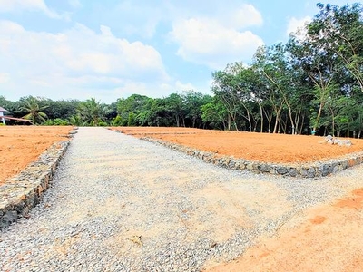 2178 Sq.Yd. Plot in Thiruvankulam Kochi
