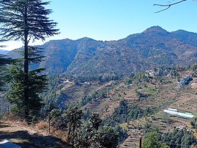 240 Sq.Yd. Plot in Mukteshwar Nainital