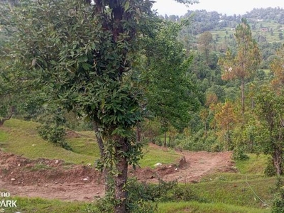 240 Sq.Yd. Plot in Ramgarh Nainital