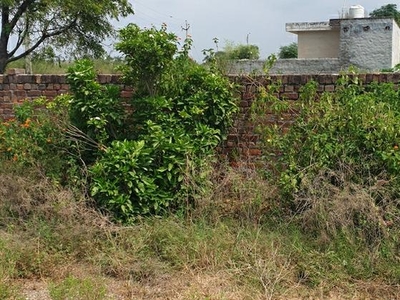800 Sq.Yd. Plot in Sidhwal Canal Road Ludhiana