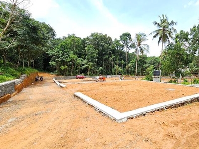 Best House Plot For Sale In Mulanthuruthy