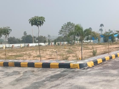 Commercial Land 1470 Sq.Ft. in Lalpur Ranchi