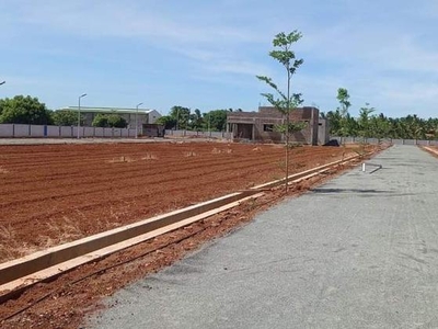 Commercial Land 2900 Sq.Ft. in Pudukkottai nh Trichy