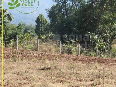 Commercial Land 6 Acre in Manor Palghar