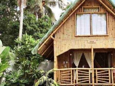 Fully Furnished Bamboo Cottage
