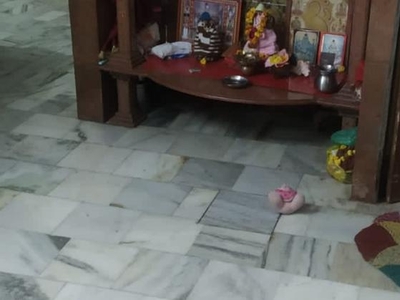 H No 8 Shyam Ji Enclave Amita Vihar In Front Of Karmyogi Kamla Nagar Agra