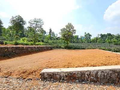 Land For Sale At Tripunithura