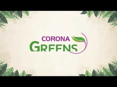 Rambha Corona Greens in Sector 5, Sohna, Gurgaon - Price, Reviews & Floor Plan