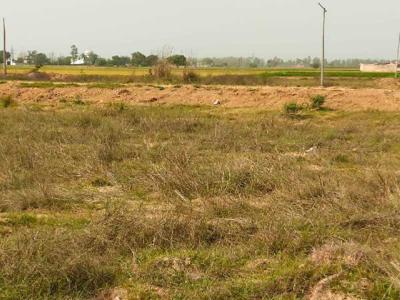 Agricultural Land 2 Acre for Sale in Airport Road, Zirakpur