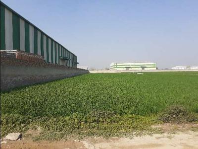 Industrial Land 1500 Sq. Yards for Sale in Jhundpur, Sonipat