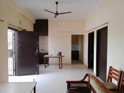 1000 sq ft 2 BHK 2T IndependentHouse for rent in Project at Sector 46, Noida by Agent seller