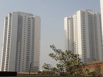 1950 sq ft 3 BHK 3T Apartment for rent in DLF The Ultima at Sector 81, Gurgaon by Agent Prime Associates