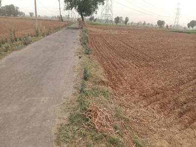 Agricultural Land 16 Acre for Sale in Garhi Bolni Road, Rewari