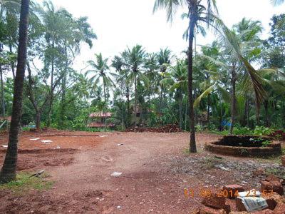 Plot of land Panoor For Sale India