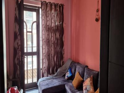 800 sq ft 1 BHK 2T IndependentHouse for rent in Project at Sector 52, Gurgaon by Agent user5051