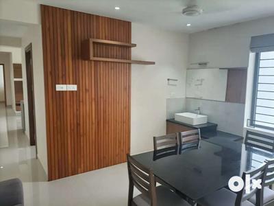 3 bhk fully furnished flat near MEITRA HOSPITAL