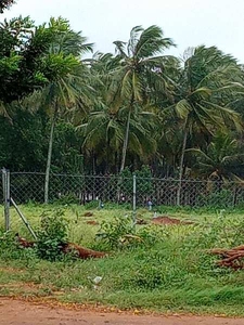Agricultural Land 1 Acre for Sale in Anna Nagar, Coimbatore