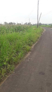 Agricultural Land 1 Acre for Sale in Phanda, Bhopal