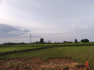 Agricultural Land 1 Acre for Sale in Puthuvayal Tiruchirappalli