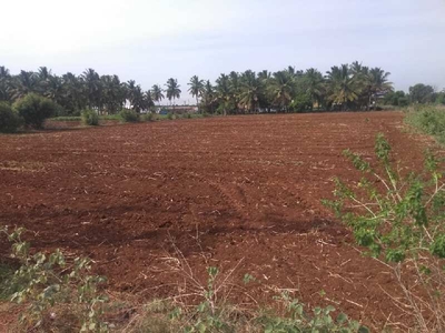 Agricultural Land 1 Acre for Sale in Samalapuram, Coimbatore